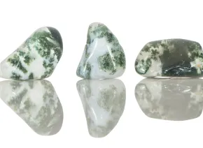 Мъхов Ахат