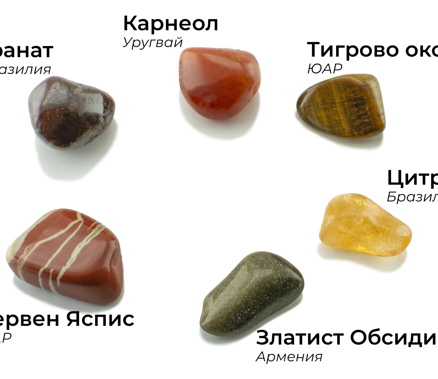Зодия Лъв